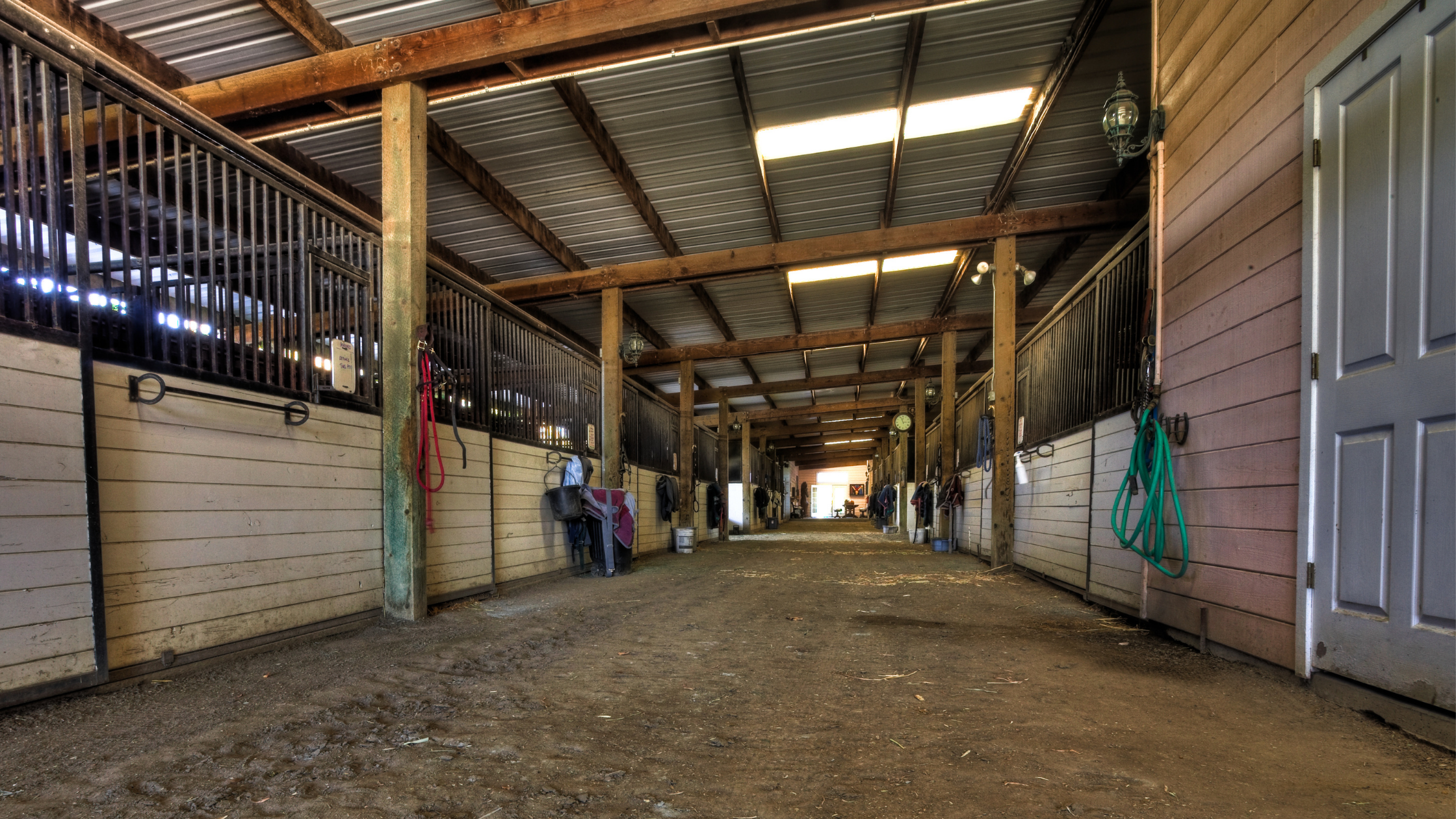 5 Types of Livestock Pole Barns